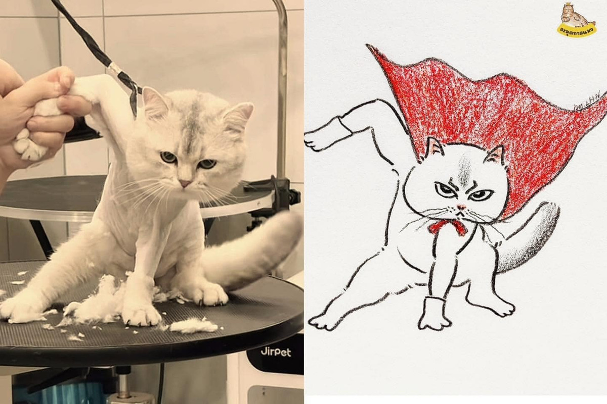 Meme là các hình ảnh chế vui nhộn từ các bộ phim hay nhân vật nổi tiếng được làm ra nhằm phục vụ mục đích của người sáng tạo. Ngày nay trong các cuộc nói chuyện, nhắn tin trên mạng xã hội, rất nhiều người dùng meme để giúp cho cuộc hội thoại hoặc bình luận của mình thêm phần thú vị.