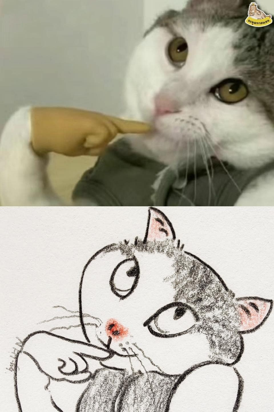 Cô thiếu nữ e ấp khi gặp người thương...