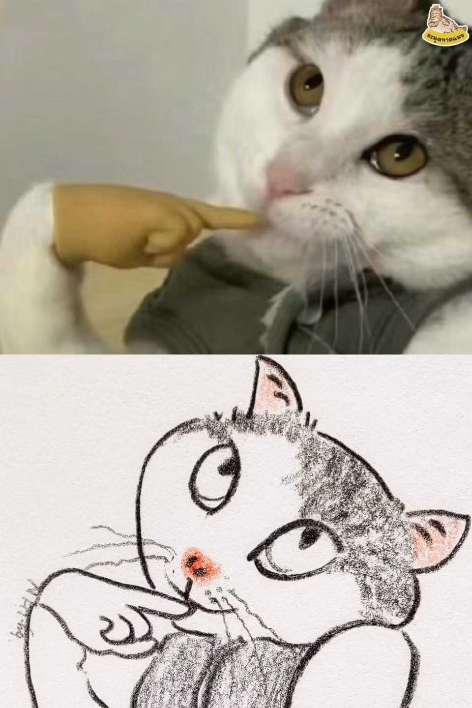 Cô thiếu nữ e ấp khi gặp người thương...