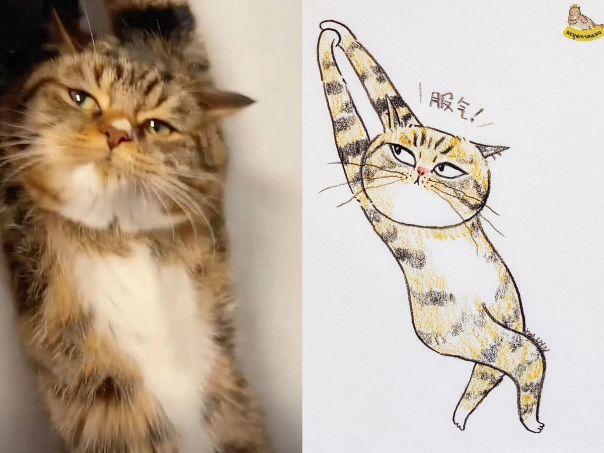 Gương mặt ngái ngủ được vẽ lại vô cùng hài hước.