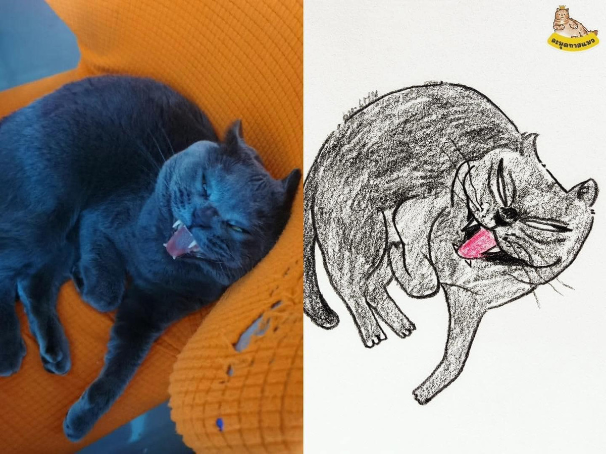 Nhìn qua thì hung dữ, mà nhìn gần lại...không có chút sát thương nào. (Ảnh: Facebook)