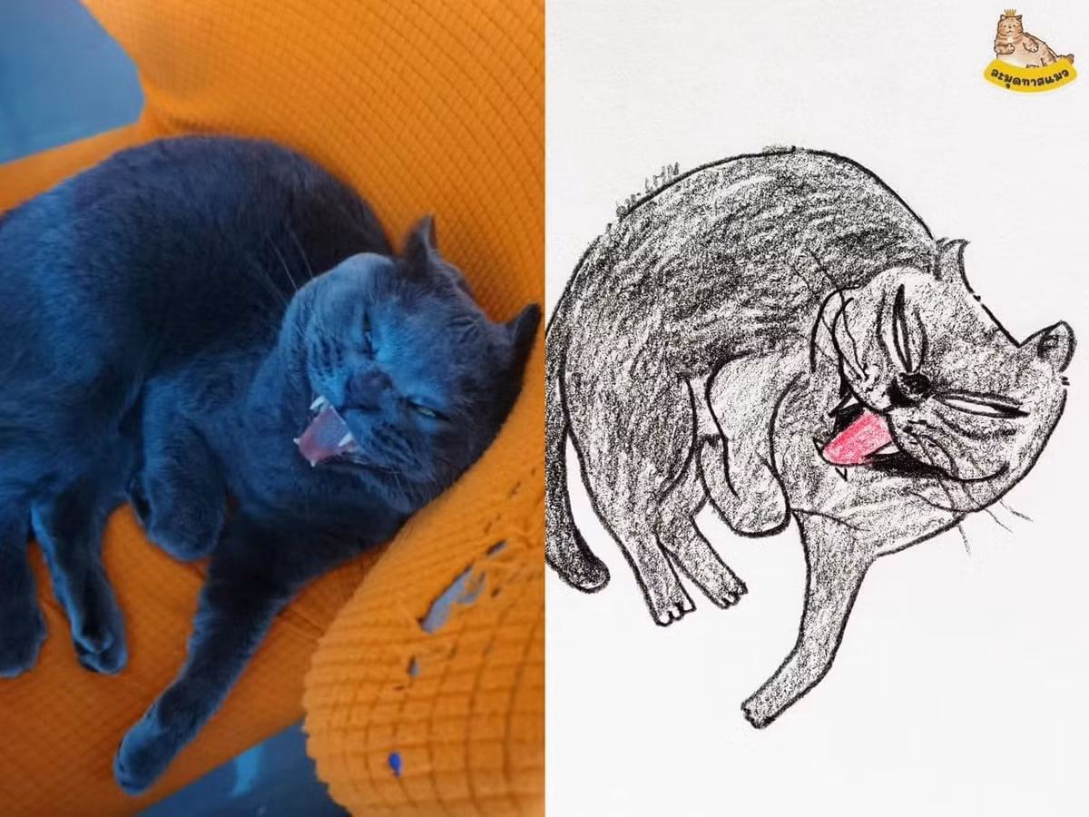 Nhìn qua thì hung dữ, mà nhìn gần lại...không có chút sát thương nào. (Ảnh: Facebook)