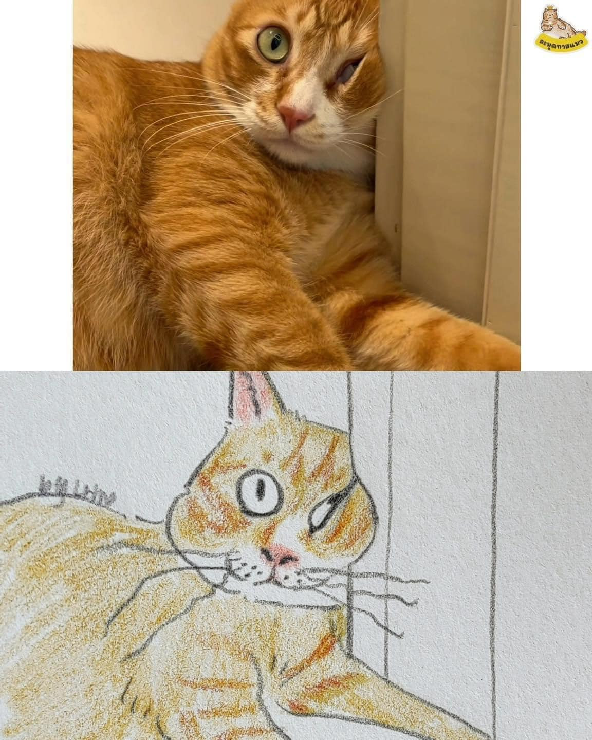 Bẹo hình bẹo dạng...