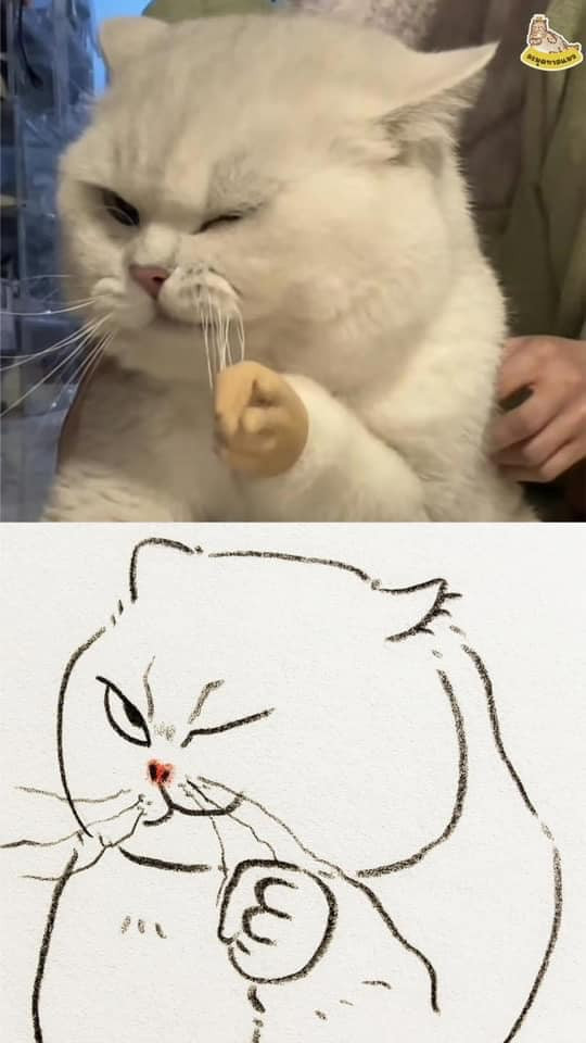 Các "hoàng thượng" luôn là chủ đề muôn thuở cho "sen" tận dụng vào công cuộc sống ảo cũng như loạt ảnh chế meme đầy thú vị.