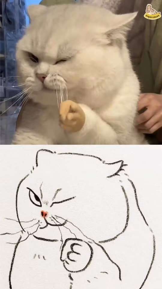 Các "hoàng thượng" luôn là chủ đề muôn thuở cho "sen" tận dụng vào công cuộc sống ảo cũng như loạt ảnh chế meme đầy thú vị.