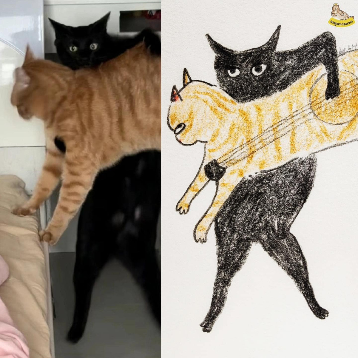 Bức meme được nhiều netizen đặt tên là "anh hùng cứu mỹ nhân".