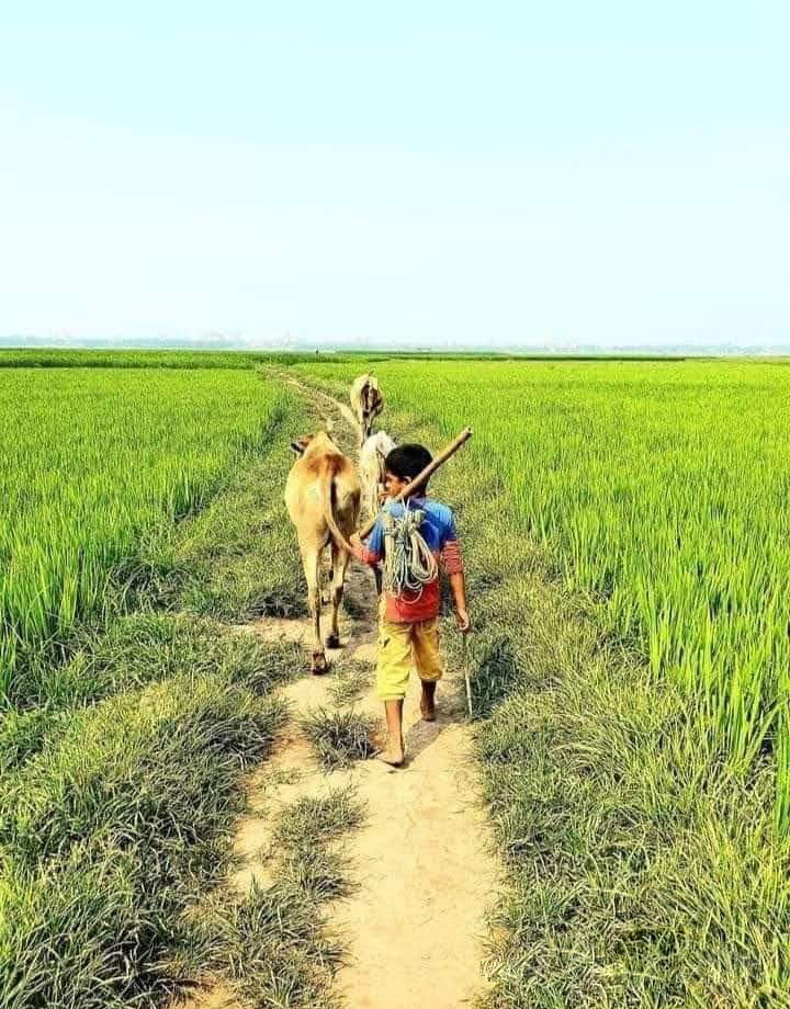 Những hình ảnh mới bình yên làm sao...