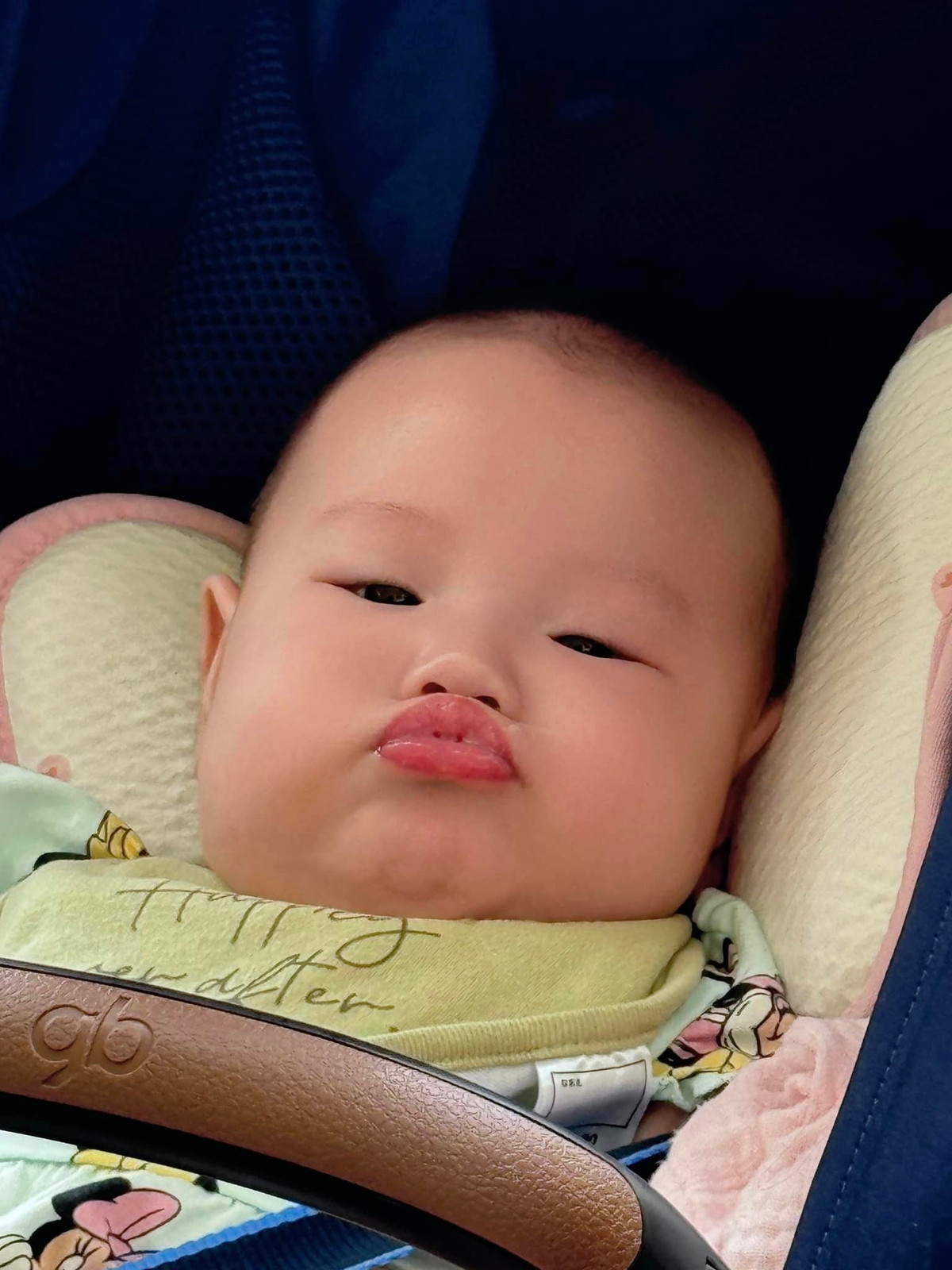 Nhiều người bày tỏ vô cùng ngưỡng mộ cuộc sống hôn nhân của Phương Oanh, cho rằng 2 em bé chính là món quà to lớn nhất mà cô có được từ Shark Bình rồi: "Chưa từng thấy một Phương Oanh dịu dàng, hiền thục như vậy, đúng là làm mẹ rồi chuẩn người phụ nữ đảm đang luôn, Shark Bình tặng món quà to quá", "món quà tuyệt vời nhất mà Shark Bình tặng Phương Oanh đấy nhỉ".