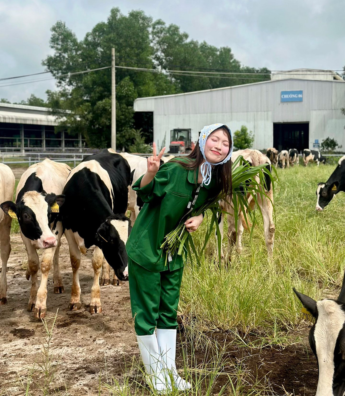 Ôm nhanh cỏ sữa, Khánh Vy tạo dáng với những chú bò bằng những biểu cảm vô cùng đáng yêu.