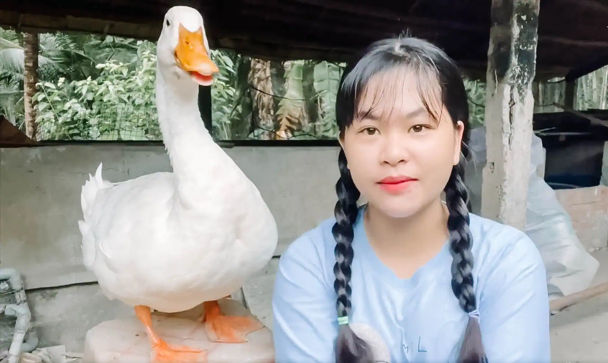 Sau 6 năm nuôi Bim Bim, Trang cho biết chú vịt rất thông minh và được gia đình yêu quý.