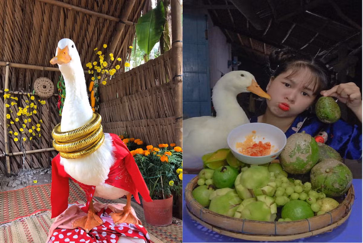 Khi quay video, Trang thường đặt Bim Bim lên chiếc ghế nhựa. Nhờ sự xuất hiện của Bim Bim, các video của Trang thu hút về lượng người xem và đăng ký kênh lớn.