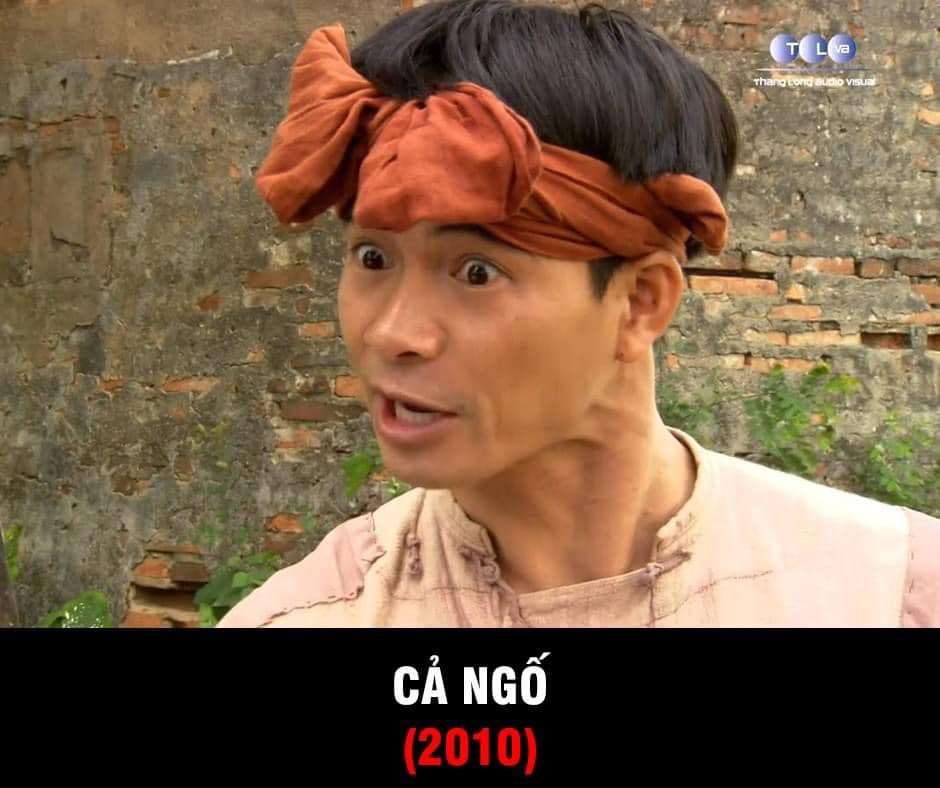 Phim "Cả ngố" được đầu tư dàn dựng theo lối cổ trang công phu, nhằm phục dựng bối cảnh, không khí đời sống sinh hoạt nông thôn Việt Nam thời xưa. Cả Ngố (Xuân Bắc) hiền lành, sợ vợ nhưng lại mắc tính “thật thà” thái quá. Cũng bởi tính cách này mà Cả Ngố luôn bị cuốn vào những tình huống oái oăm, dở khóc dở cười trong cuộc sống hàng ngày.