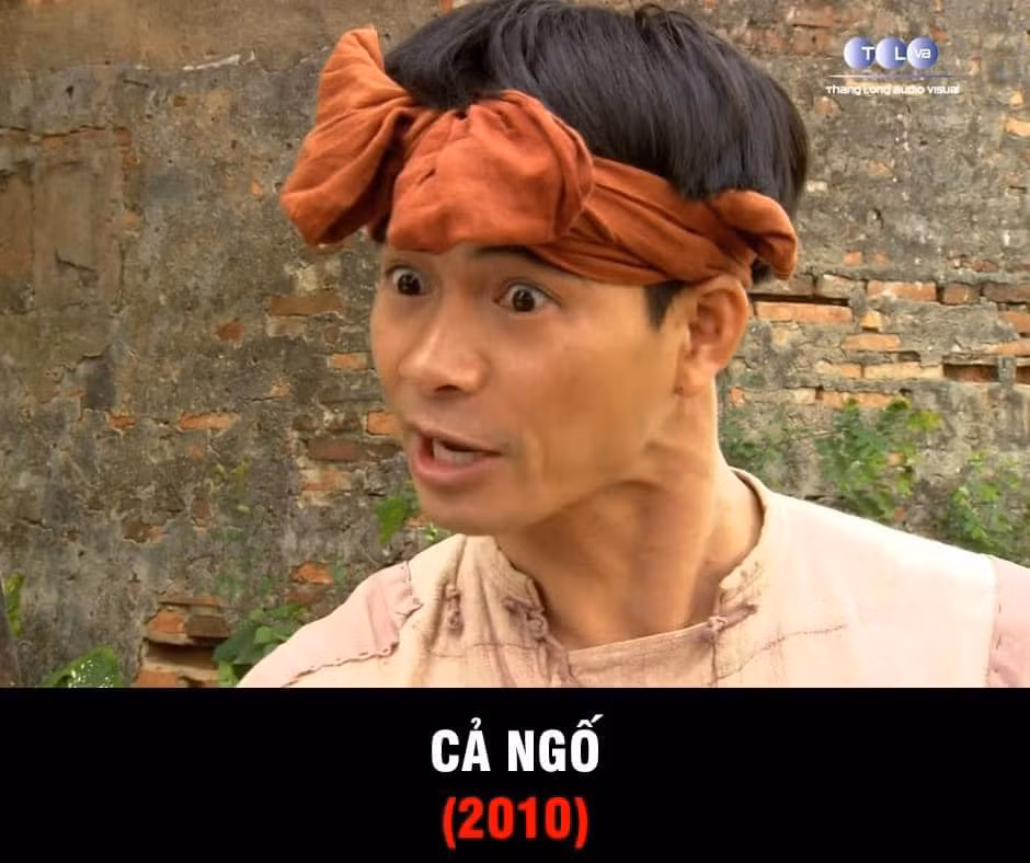 Phim "Cả ngố" được đầu tư dàn dựng theo lối cổ trang công phu, nhằm phục dựng bối cảnh, không khí đời sống sinh hoạt nông thôn Việt Nam thời xưa. Cả Ngố (Xuân Bắc) hiền lành, sợ vợ nhưng lại mắc tính “thật thà” thái quá. Cũng bởi tính cách này mà Cả Ngố luôn bị cuốn vào những tình huống oái oăm, dở khóc dở cười trong cuộc sống hàng ngày.