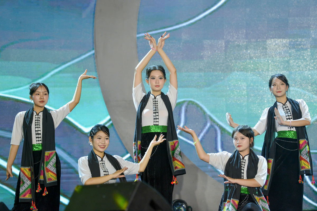 Bên cạnh đó, đêm nhạc chào tân sinh viên có sự tham gia biểu diễn của đoàn viên, sinh viên từ các Liên chi và các Câu lạc bộ.