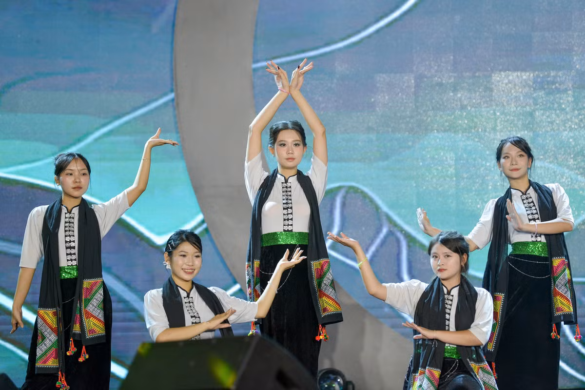 Bên cạnh đó, đêm nhạc chào tân sinh viên có sự tham gia biểu diễn của đoàn viên, sinh viên từ các Liên chi và các Câu lạc bộ.