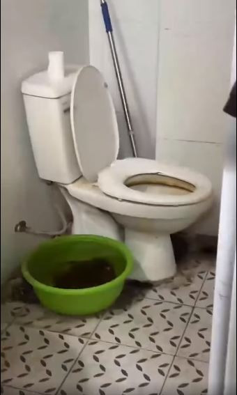 Bồn cầu cáu đen khiến người nhìn cảm giác ghê tởm.