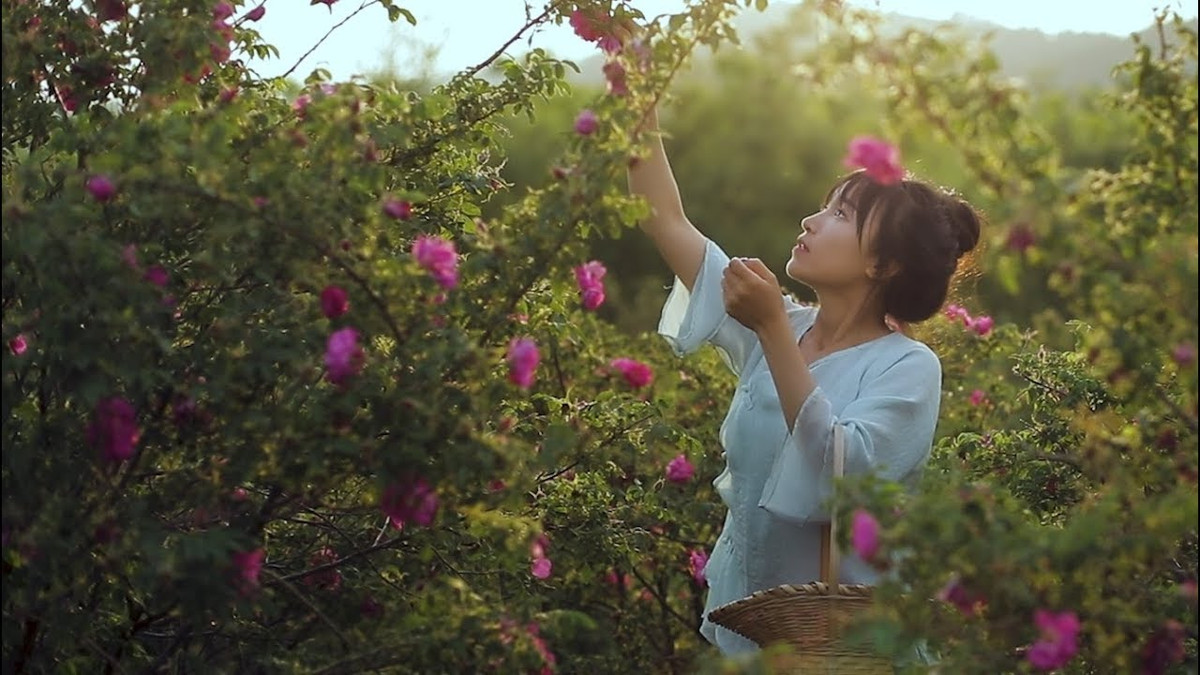 Với vóc dáng nhỏ bé nhưng không nề hà các công việc nặng nhọc, từ thêu thùa, may vá, nấu ăn cho đến trồng trọt, xây nhà...cô nàng là hình tượng hoàn hảo trong mắt nhiều netizen xứ Trung. (Ảnh: Youtube Lý Tử Thất)