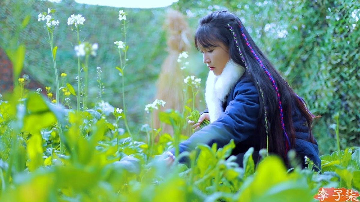 Cuộc sống ở một vùng núi thuộc tỉnh Tứ Xuyên (Trung Quốc) với rất nhiều cảnh đẹp, hoa thơm cỏ lạ, các món ăn đặc sắc đã được cô tái hiện qua đôi bàn tay khéo léo.