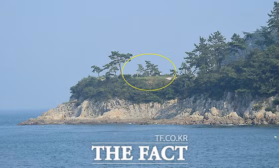 Lo anh trang mat cua vo chong Bae Yong Joon-Hinh-3