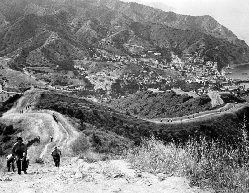 Theo đó, nhiều ngôi nhà, khách sạn, tòa nhà hành chính... được trưng dụng làm doanh trại. Các bến du thuyền, hải cảng, câu lạc bộ du thuyền… đã được chuyển đổi mục đích sử dụng thành những chiến trường mô phỏng.