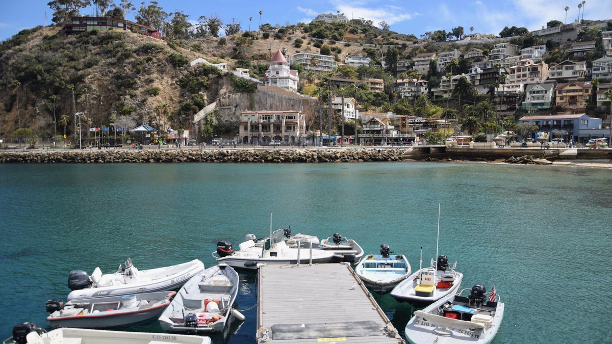 Phải tới những năm 1980, thông tin về sự tồn tại của căn cứ huấn luyện lính biệt kích Mỹ trên đảo Santa Catalina mới được giới chức trách công khai.