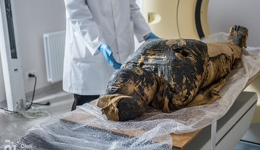 Mới đây, các chuyên gia công bố kết quả kiểm tra hộp sọ của "Quý bà bí ẩn". Họ phát hiện nhiều dấu vết khác thường trên hộp sọ.