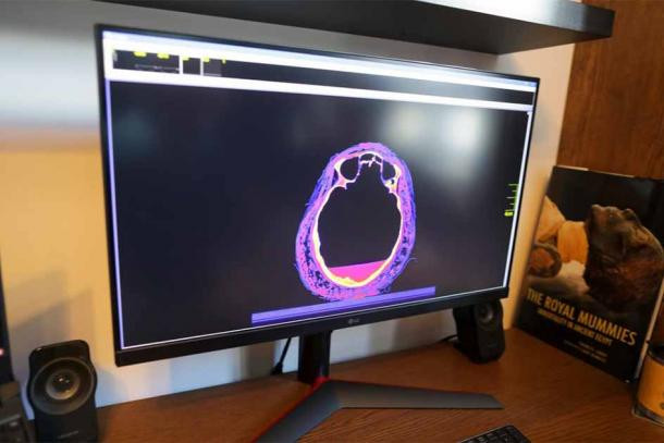 Năm 2021, các chuyên gia thuộc dự án xác ướp Warsaw đã công bố phát hiện quan trọng về xác ướp trên. Các kết quả kiểm tra cho thấy đó là xác ướp Ai Cập cổ đại mang thai đầu tiên được phát hiện trên thế giới.