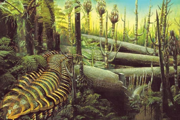 Thông qua nghiên cứu này, các nhà khoa học có thể theo dõi sự biến đổi khí hậu toàn cầu trong những thế kỷ trước.