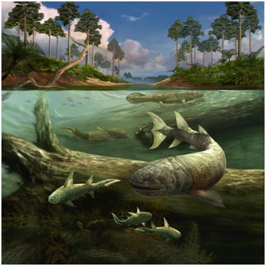 Những thay đổi mạnh mẽ trong quá trình phong hóa trên đất liền đã ảnh hưởng lớn đến việc sinh tồn của các loài động vật trên Trái đất.