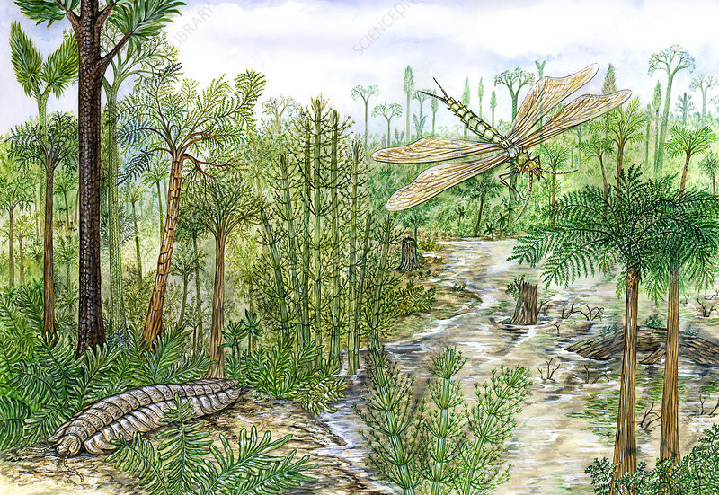 Tiếp đến, các nhà khoa học sử dụng mô hình địa hóa học mới nhất để đánh giá tác động của lượng carbon dioxide dư thừa đối với môi trường.