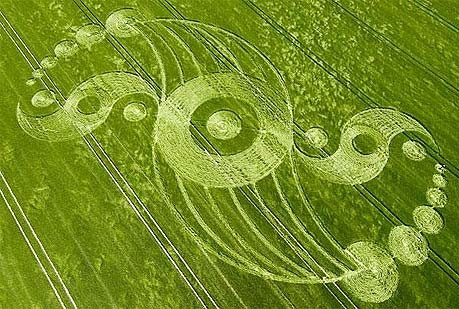 Qua đó, bí mật về những vòng tròn khổng lồ được giải mã. Chúng do con người tạo ra chứ không có bất cứ mối liên quan nào đến người ngoài hành tinh.