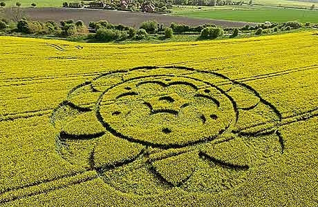 Đến năm 1991, tờ Today của Anh đăng bài viết hé lộ "tác giả" tạo ra những vòng tròn bí ẩn trên. Theo nội dung bài viết, 2 người đàn ông đến từ Southampton là Doug Bower và Dave Chorley đã bí mật thực hiện hơn 200 mẫu hoa văn hình tròn khổng lồ các cánh đồng lúa mì.