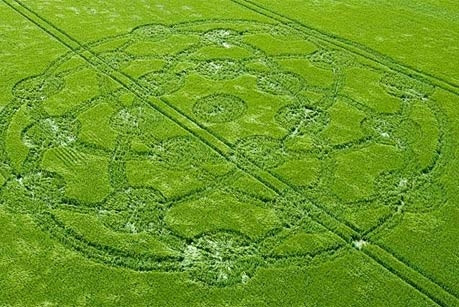 Tại nhà kho của ông Bower, phóng viên cũng tìm được hơn 200 bản vẽ thiết kế hoa văn tròn phù hợp với những hình tròn đã xuất hiện trên các cánh đồng lúa mì ở Anh.