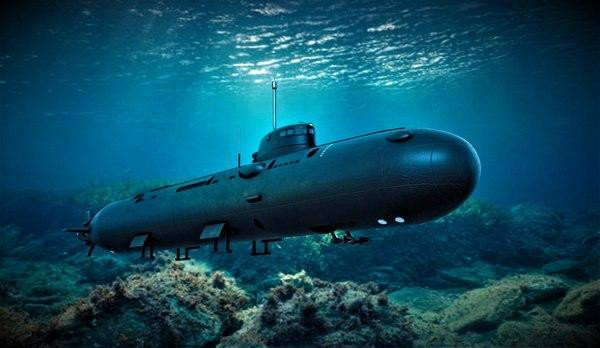 Sau khi xảy ra vụ cháy trên, Bộ Quốc phòng Nga không tiết lộ tên cũng như mẫu tàu ngầm. Trong khi đó, Điện Kremlin khẳng định vụ cháy tàu ngầm là bí mật nhà nước không được phép công khai.