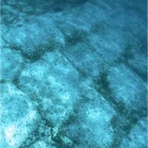 Đến nay, các nhà khoa học vẫn chưa thể giải mã nguồn gốc và mục đích của con đường đá vôi Bimini. Vì vậy, họ vẫn dành nhiều thời gian để nghiên cứu nhắm sớm giải mã bí ẩn về nơi này.