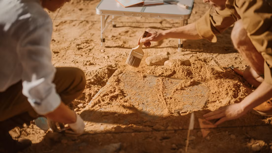 Khi kiểm tra bộ hài cốt trên, giáo sư Chmielewski không khỏi bất ngờ khi thấy bên trong miệng người phụ nữ có đầu của 2 con chim sẻ. Điều này khiến giáo sư Chmielewski và mọi người không khỏi tò mò vì sao người xưa đặt xác chim trong miệng người chết.