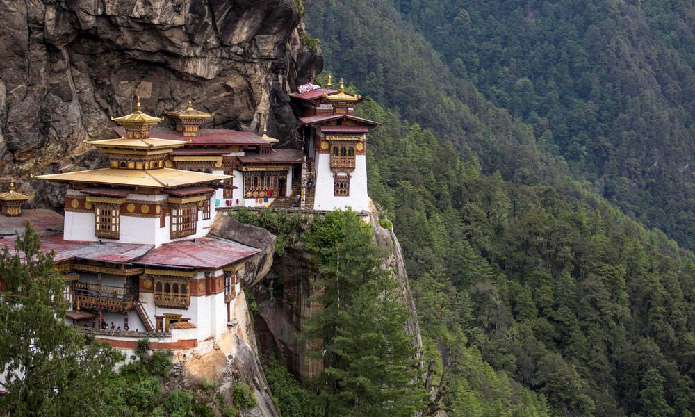 Điều này khiến Bhutan trở thành quốc gia duy nhất trên thế giới hấp thụ nhiều CO2 hơn lượng thải ra và cũng là quốc gia duy nhất trên thế giới có kim ngạch xuất khẩu cao nhất là năng lượng tái sinh (thủy điện).