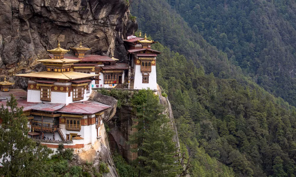 Điều này khiến Bhutan trở thành quốc gia duy nhất trên thế giới hấp thụ nhiều CO2 hơn lượng thải ra và cũng là quốc gia duy nhất trên thế giới có kim ngạch xuất khẩu cao nhất là năng lượng tái sinh (thủy điện).
