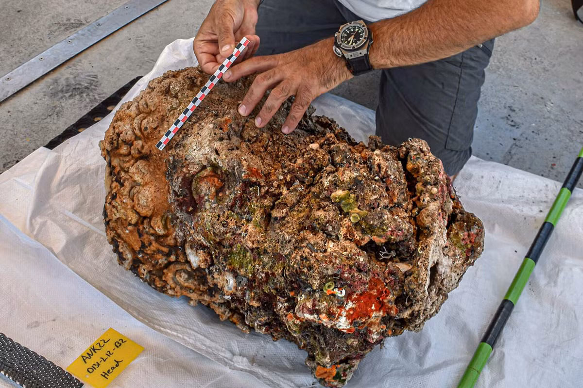 Thêm nữa, các chuyên gia tìm thấy một số tác phẩm điêu khắc, đồ thủy tinh, nhạc cụ, trang sức...