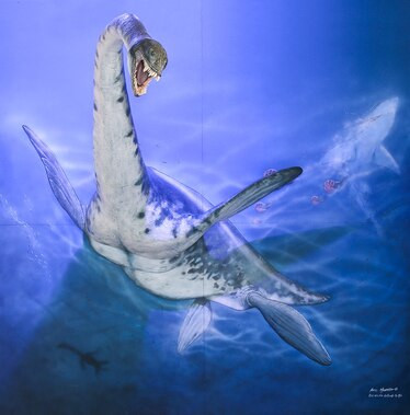 “Loài bò sát biển trên có niên đại lớn hơn 80 triệu năm so với bất kỳ dạng sinh vật nào từng định cư ở lục địa băng giá của Trái đất”, nhà cổ sinh vật học José Patricio O'Gorman của Museo de la Plata (MLP) và CONICET (Hội đồng nghiên cứu kỹ thuật và khoa học quốc gia Argentina) cho hay.