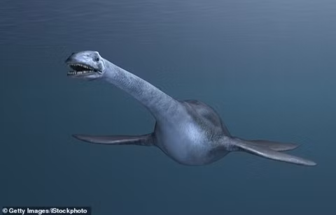Plesiosaur không thuộc nhóm khủng long. Hai loài này chung sống hòa bình trên trái đất trong hàng triệu năm cho đến khi tiểu hành tinh đâm vào địa cầu quét sạch cả hai giống loài cách đây khoảng 66 triệu năm.