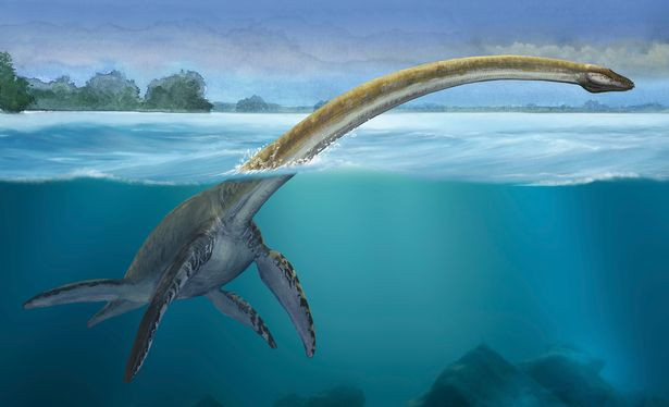 Với việc tìm thấy bộ xương plesiosaur khoảng 150 triệu năm tuổi, các chuyên gia biết được sự sống đã tồn tại ở Nam Cực sớm hơn hàng chục triệu năm so với tính toán trước đó của giới khoa học.