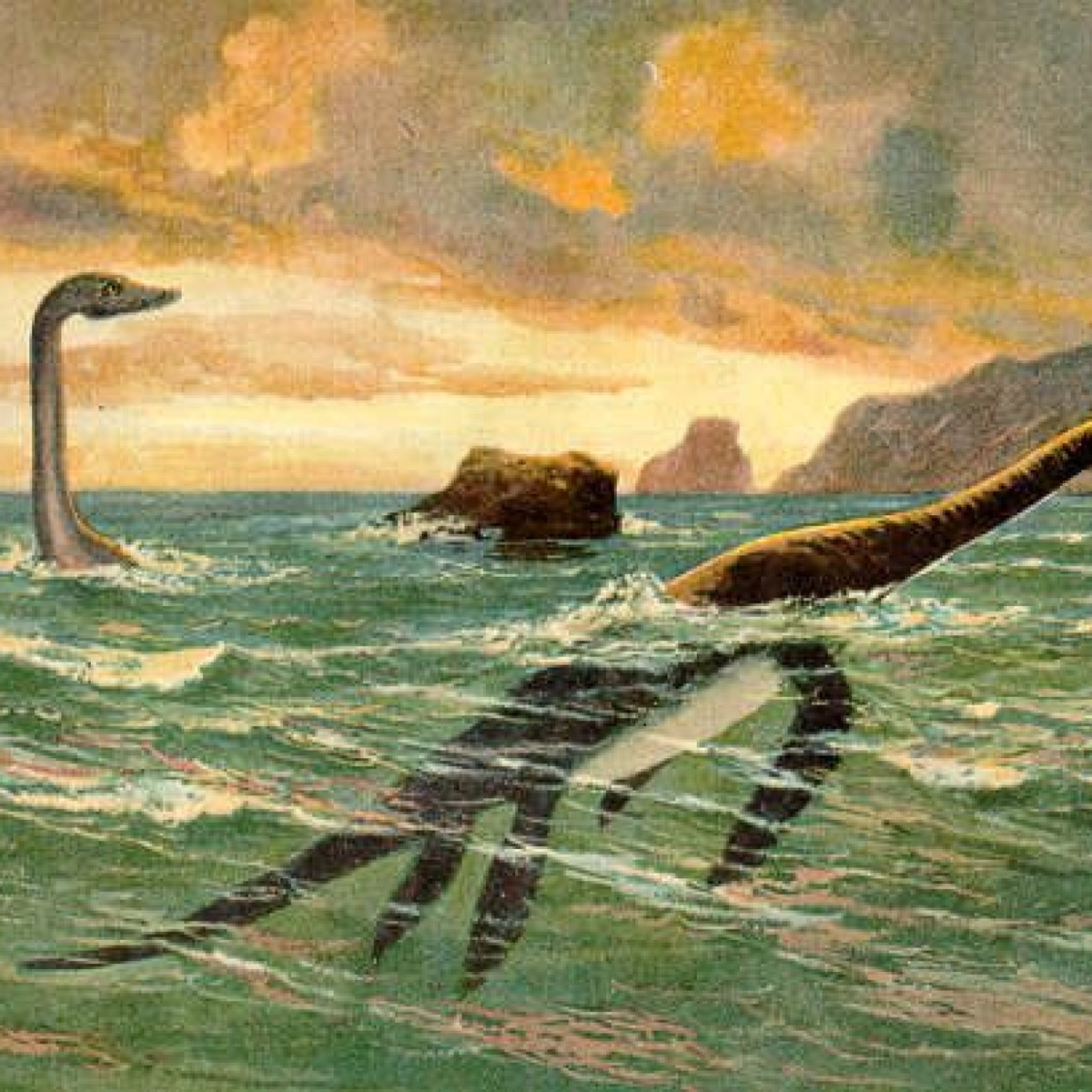 Với đặc điểm này, "quái vật" xà đầu long có thể đạt được tốc độ bơi cực nhanh và khả năng săn mồi trong nước cực kỳ chính xác cho dù tổng trọng lượng cơ thể lên tới hàng tấn. Điều này xảy ra khi chúng có lực cản tối thiểu lúc bơi lội dưới nước.