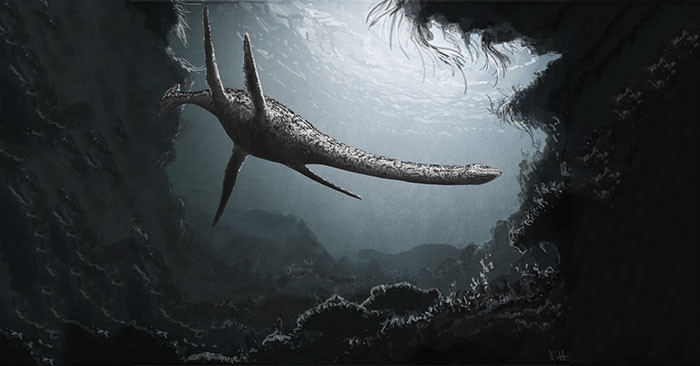 Loài xà đầu long phát triển mạnh từ kỷ Jura, tiếp tục thống trị xuyên kỷ Phấn Trắng cho đến khi tuyệt chủng cùng với loài khủng long vào 66 triệu năm trước.