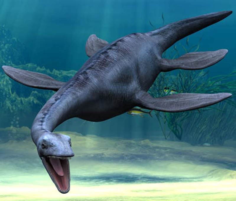 Từ đây, các nhà nghiên cứu thuộc Đại học Bath nhận định rằng, một con plesiosaur có thể đã sống trong hồ Loch Ness của Scotland.
