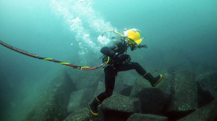 Cáp biển APG có sự tham gia đầu tư của các nhà mạng Việt Nam gồm: VNPT, Viettel, FPT Telecom, CMC Telecom. Kể từ khi đi vào hoạt động, tuyến cáp quang APG góp phần mang tới đường truyền ổn định với dung lượng lớn hơn cho người dùng internet tại Việt Nam.