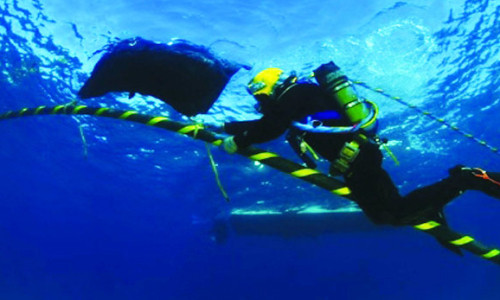 Tuyến cáp quang APG này có các điểm kết nối ở Trung Quốc, Hong Kong (Trung Quốc), Đài Loan (Trung Quốc), Nhật Bản, Hàn Quốc, Malaysia, Singapore, Thái Lan và Việt Nam.