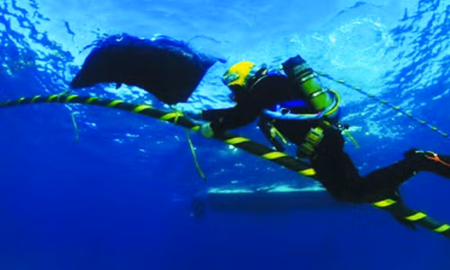 Tuyến cáp quang APG này có các điểm kết nối ở Trung Quốc, Hong Kong (Trung Quốc), Đài Loan (Trung Quốc), Nhật Bản, Hàn Quốc, Malaysia, Singapore, Thái Lan và Việt Nam.