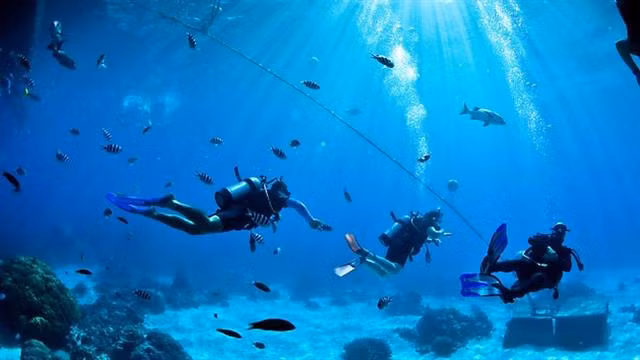 Tuyến cáp quang biển quốc tế APG được đưa vào vận hành chính thức từ giữa tháng 12/2016.