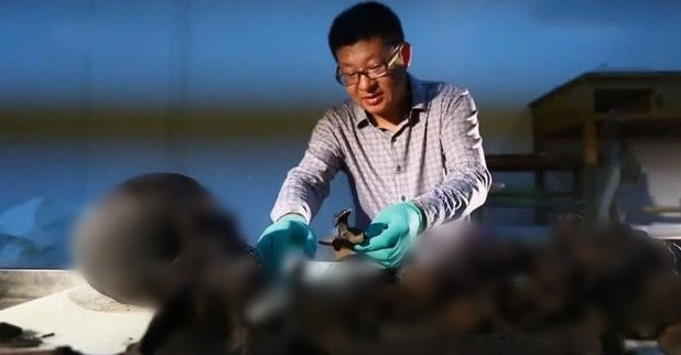 Vì vậy, các chuyên gia tò mò bên trong quan tài có gì nên quyết định mở nắp quan tài.